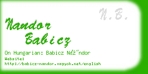 nandor babicz business card